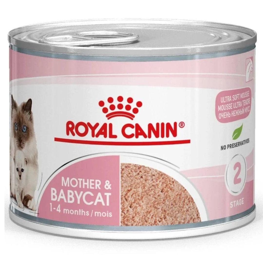 Royal Canin Mother and BabyCat Mousse