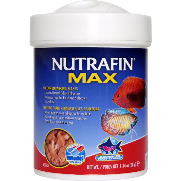 Nutrafin max 2025 tropical fish flakes