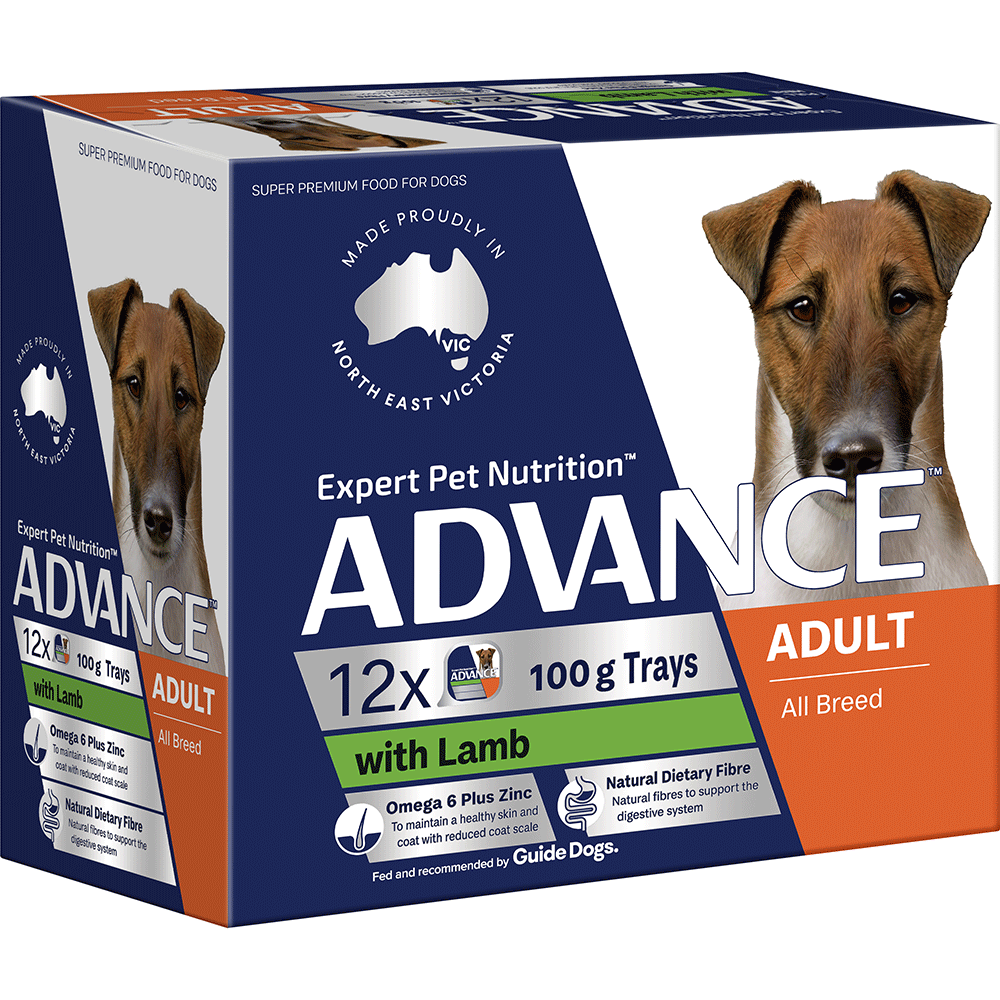 Advance senior dog outlet food