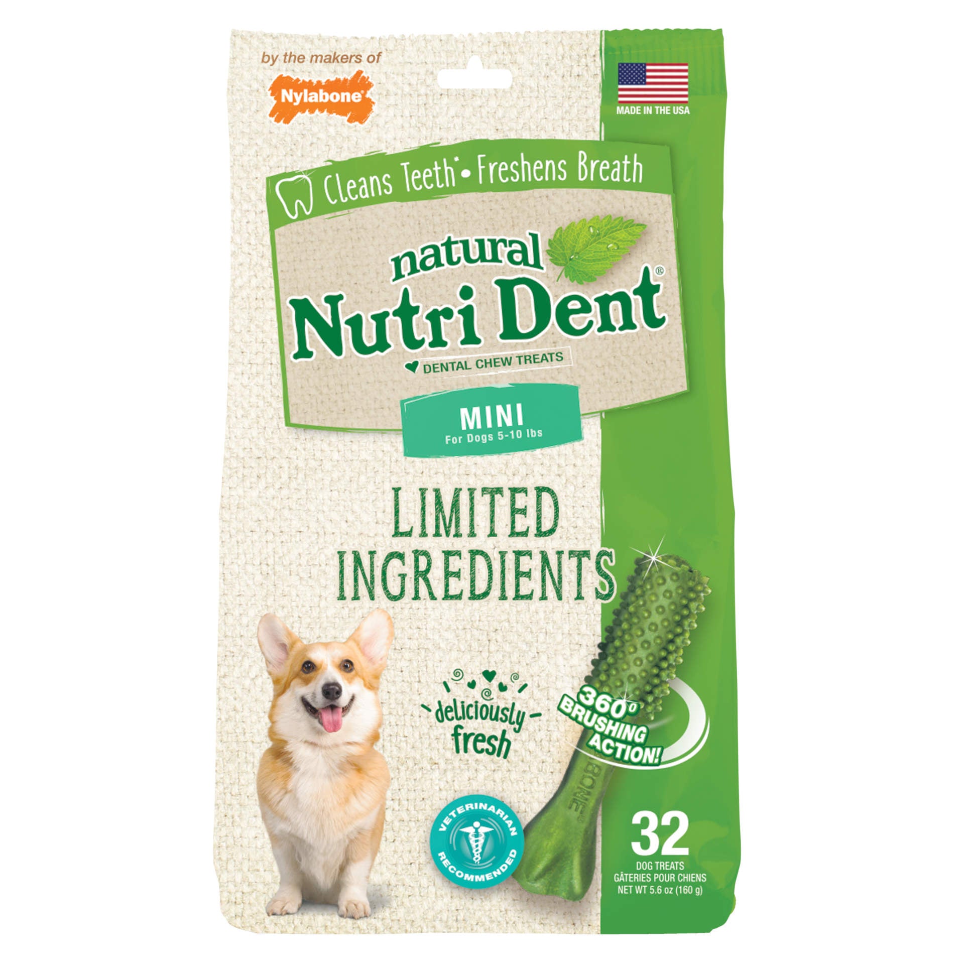 Nylabone essentials dental clearance chew