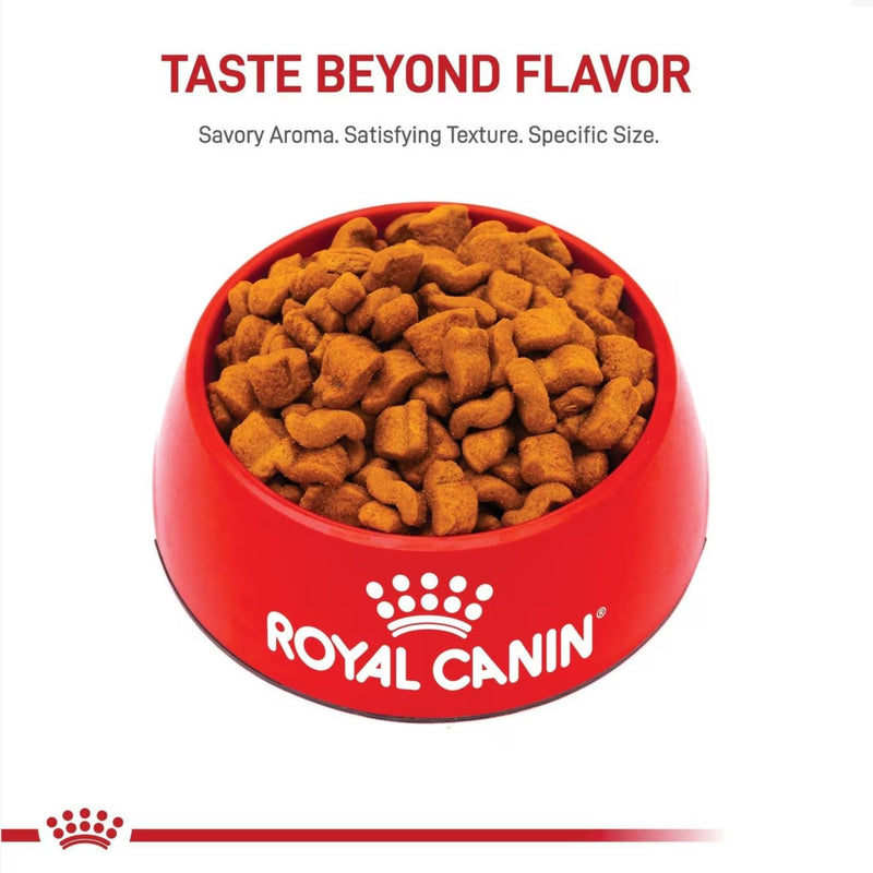 Royal Canin Boxer