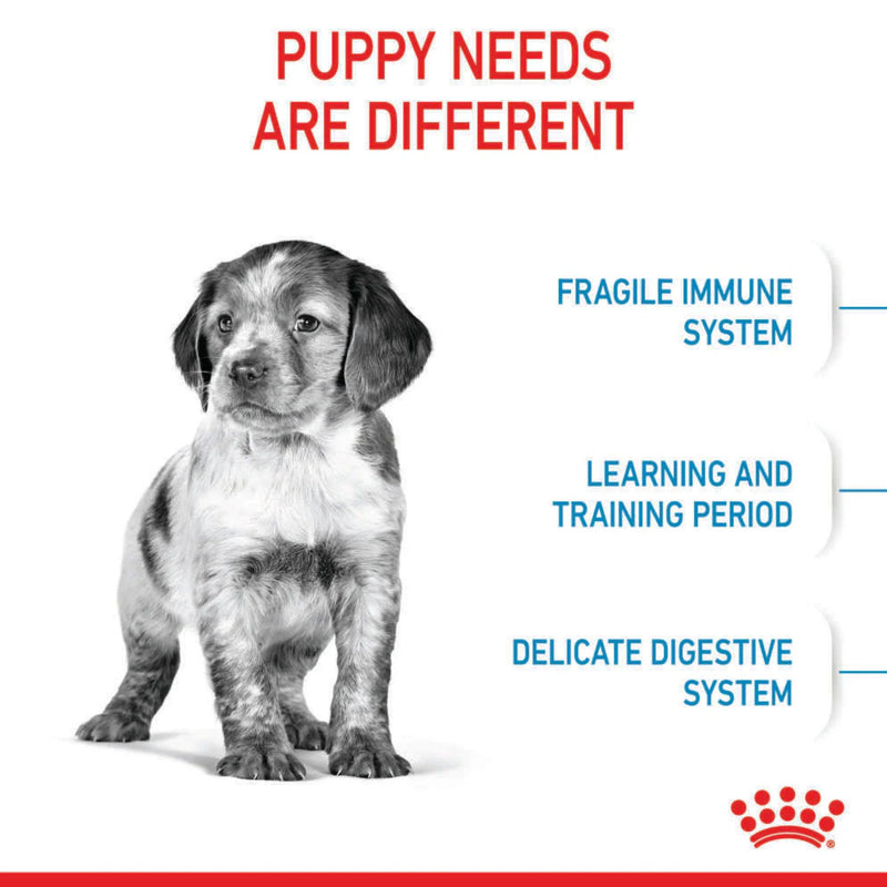 Royal Canin Medium Puppy