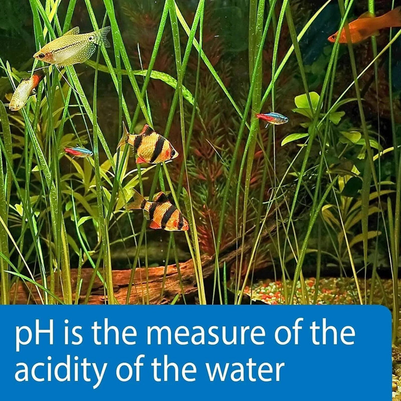 API Quick Testing Strips PH