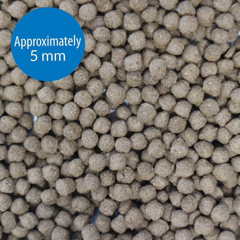 API Floating Cichlid Pellets Large