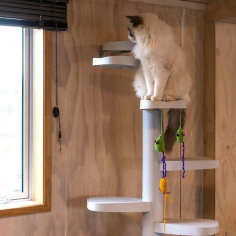 Monkee Tree - The Scalable Cat Climbing Ladder - 12 Trunk Starter Pack