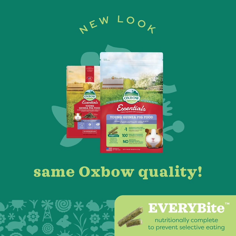 Oxbow Essentials Adult Guinea Pig Food