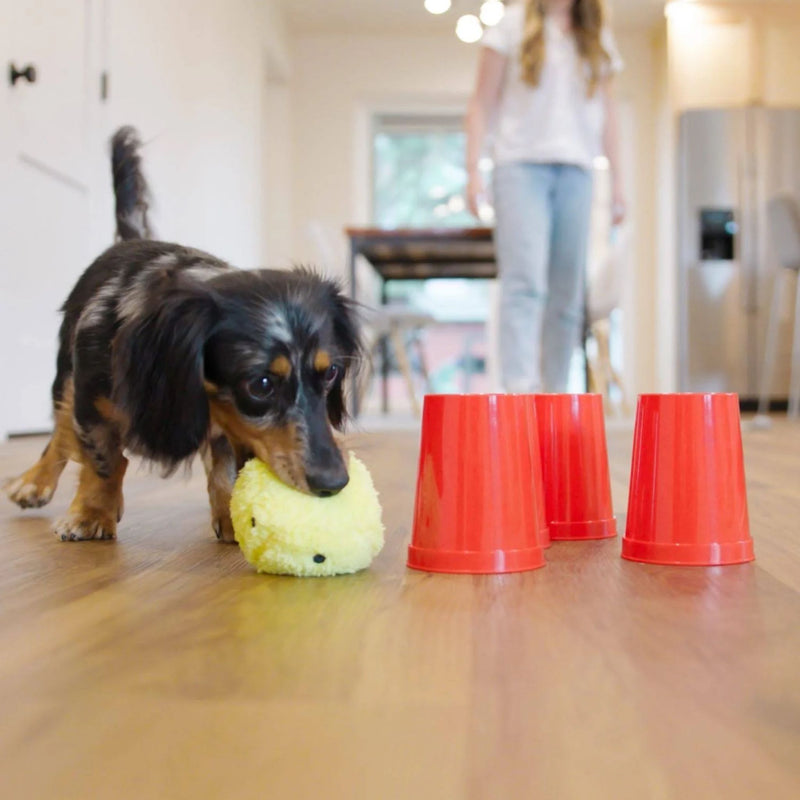 West Paw The Dog's Best Friend Game Dog Toys