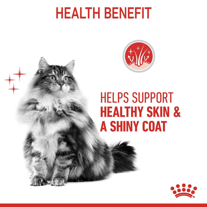 Royal Canin Wet Cat Food Intense Beauty Care Jelly