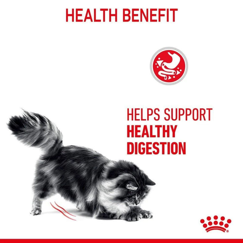 Royal Canin Wet Cat Food Digestive Sensitive Care Gravy