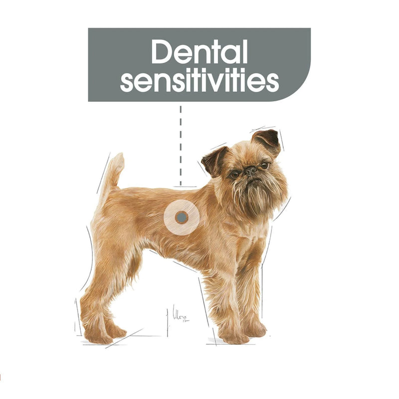 Royal Canin Mini Dental Care