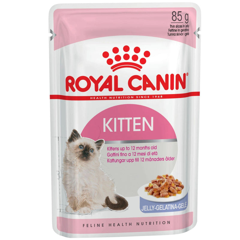 Royal Canin Wet Cat Food Kitten Jelly