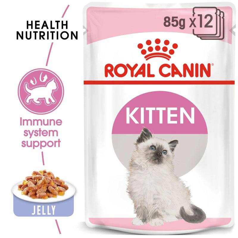 Royal Canin Wet Cat Food Kitten Jelly