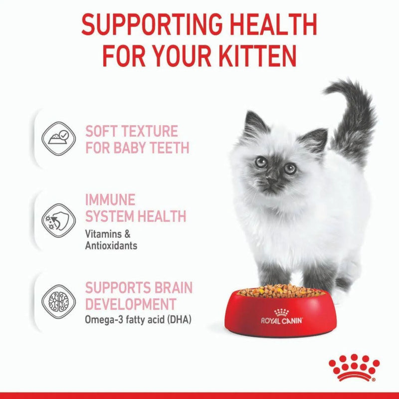 Royal Canin Wet Cat Food Kitten Jelly