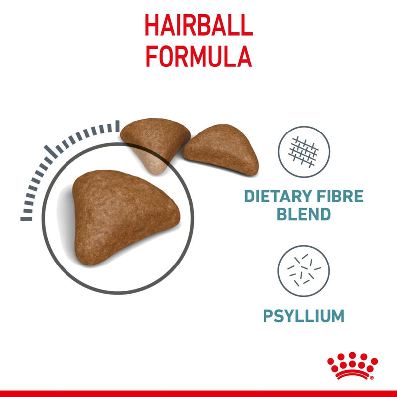 Royal Canin Hairball Care Dry Cat Food