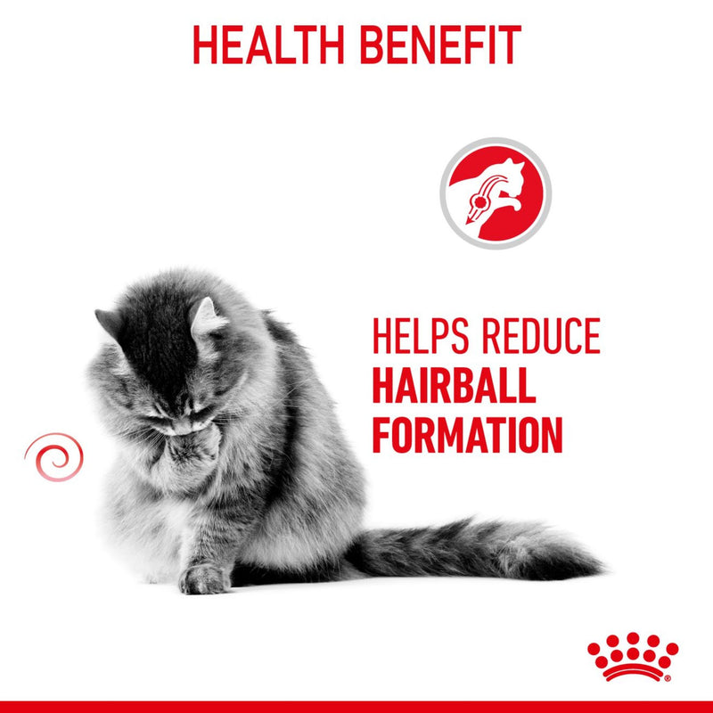 Royal Canin Hairball Care Dry Cat Food