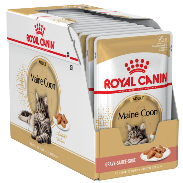 Royal Canin Wet Cat Food Maine Coon Gravy