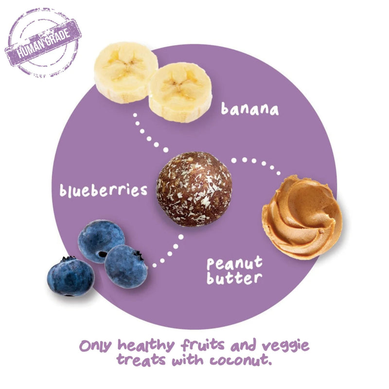 Pet Ervescence Treat-a-Balls Peanut Butter, Blueberry & Banana Dog Treats