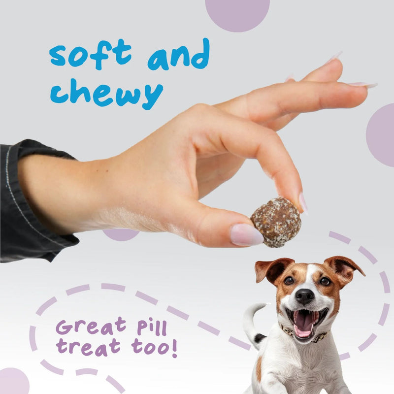 Pet Ervescence Treat-a-Balls Peanut Butter, Blueberry & Banana Dog Treats