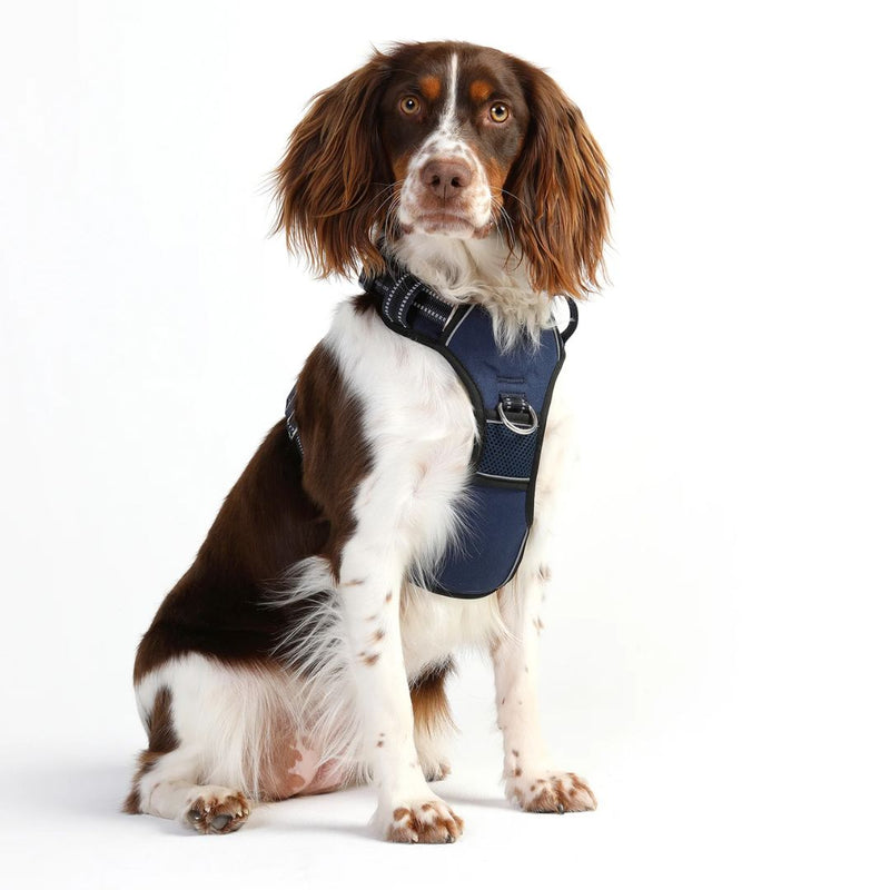 Doog Neotech Dog Harness - Navy | PeekAPaw Pet Supplies