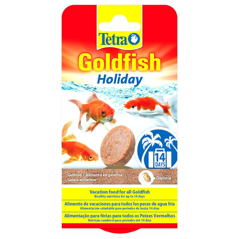 Tetra Goldfish Holiday