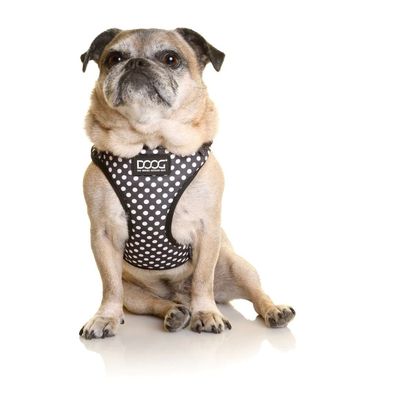 Doog Neoflex Soft Dog Harness - Pongo | PeekAPaw Pet Supplies