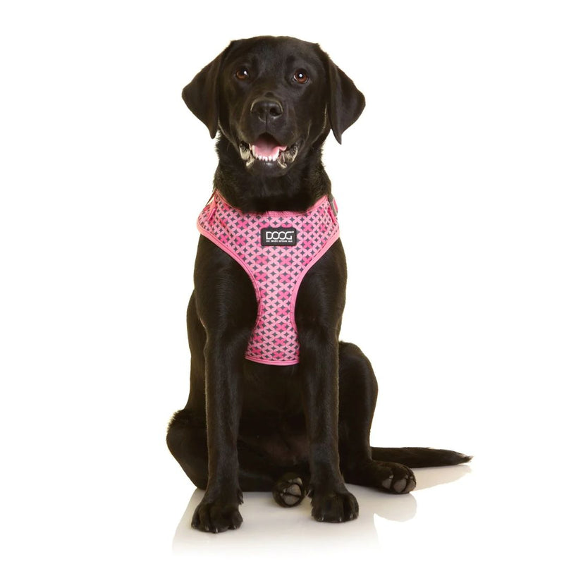 Doog Neoflex Soft Dog Harness - Toto  | PeekAPaw Pet Supplies