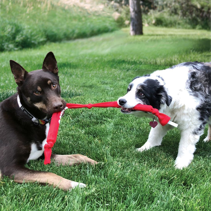 KONG Dog Toys Signature Crunch Rope Triple | PeekAPaw Pet Supplies