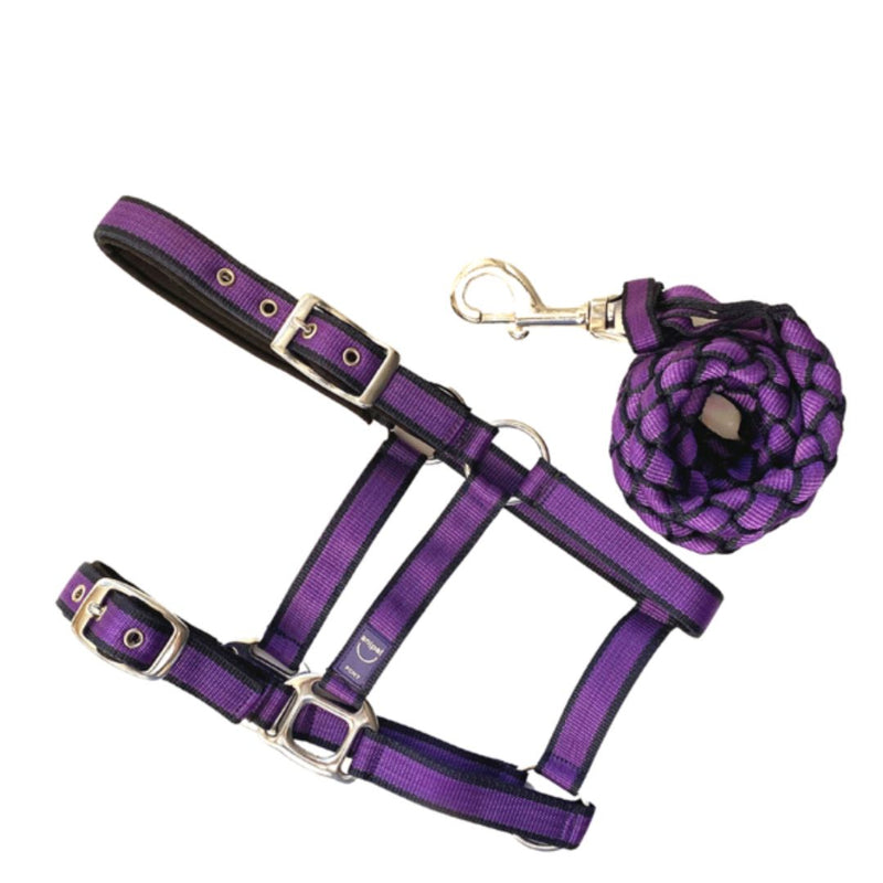 Anipal Autumn Lilac Recycled Comfort Halter & Lead Set - Cob | PeekAPaw Pet Supplies