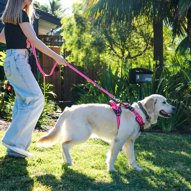 Doog Neoprene Dog Leash - (Neon High Vis) Lady | PeekAPaw Pet Supplies