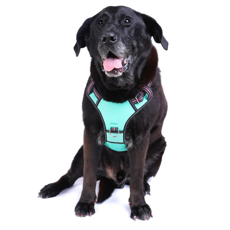 Doog Neotech Dog Harness - (Neon High Vis) Rin Tin Tin | PeekAPaw Pet Supplies