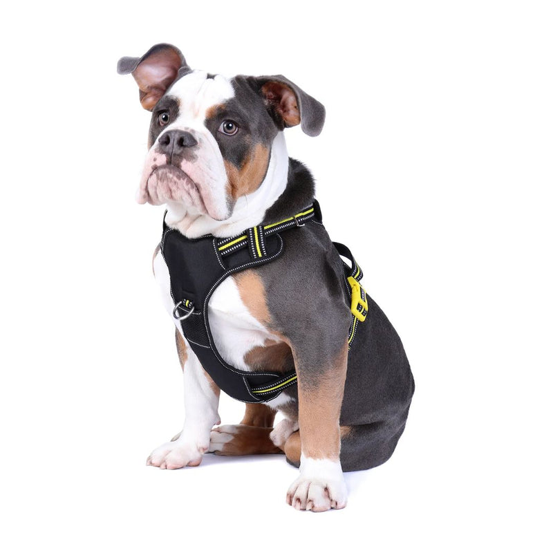 Doog Neotech Dog Harness - (Neon High Vis) Bolt | PeekAPaw Pet Supplies