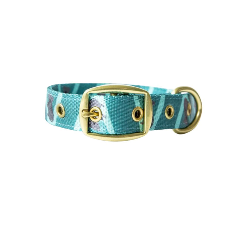 Anipal Kylo the Koala Dog Collar - Small | PeekAPaw Pet Supplies