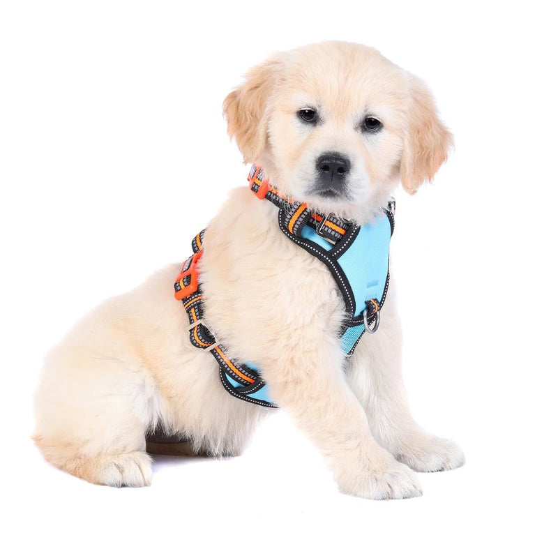 Doog Neotech Dog Harness - (Neon High Vis) Beethoven | PeekAPaw Pet Supplies