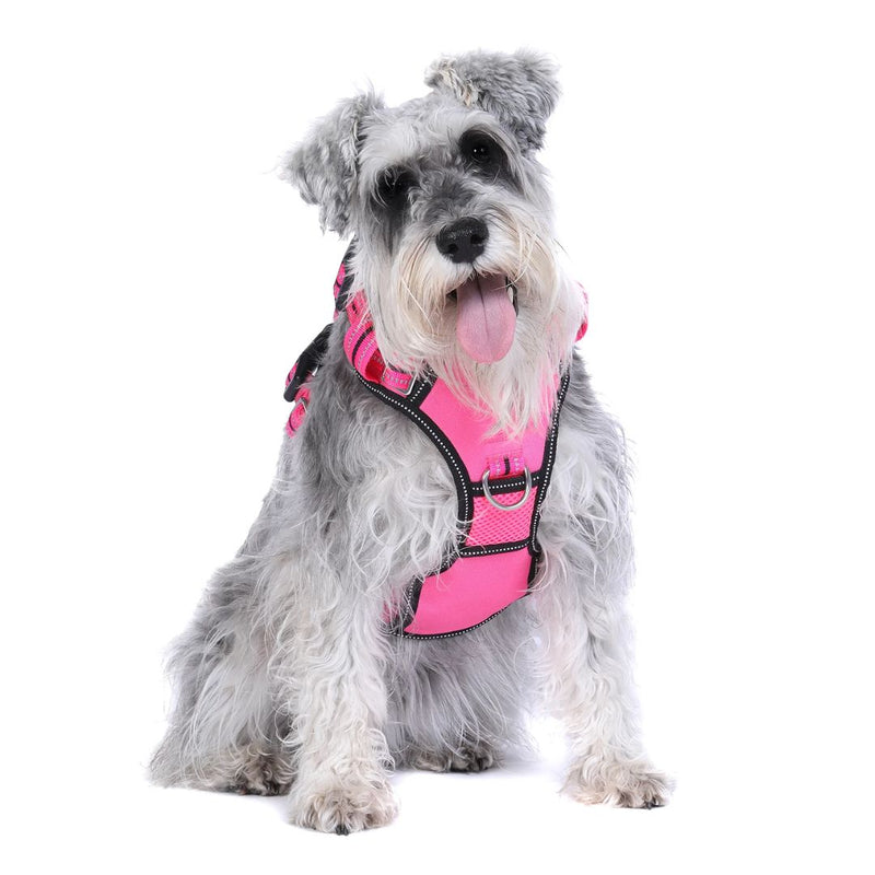 Doog Neotech Dog Harness - (Neon High Vis) Lady | PeekAPaw Pet Supplies