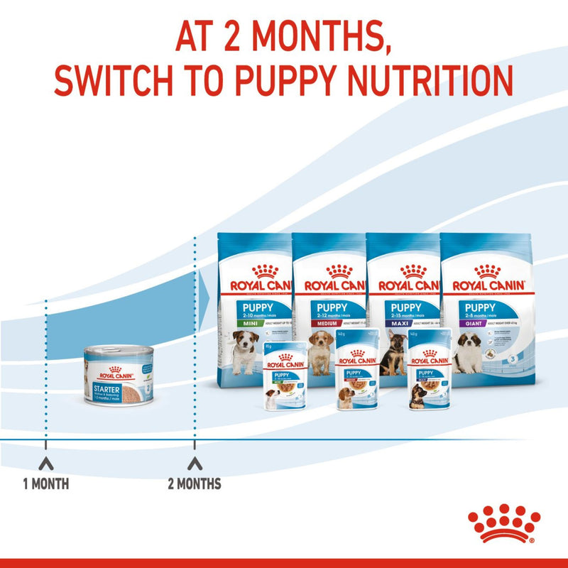 Royal Canin Mother & Babydog Starter Ultra Soft Mousse