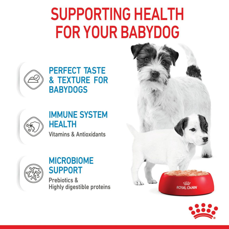 Royal Canin Mother & Babydog Starter Ultra Soft Mousse