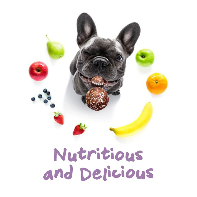 Pet Ervescence Treat-a-Balls Peanut Butter, Blueberry & Banana Dog Treats