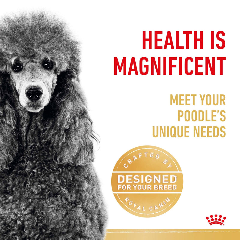 Royal Canin Poodle