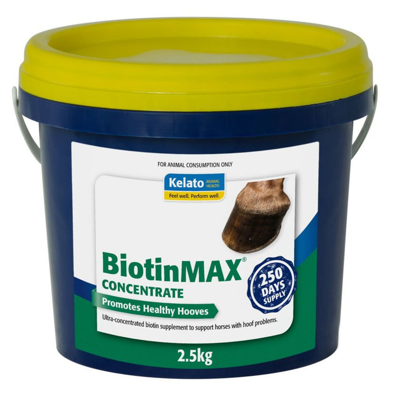 Kelato BiotinMAX Concentrate