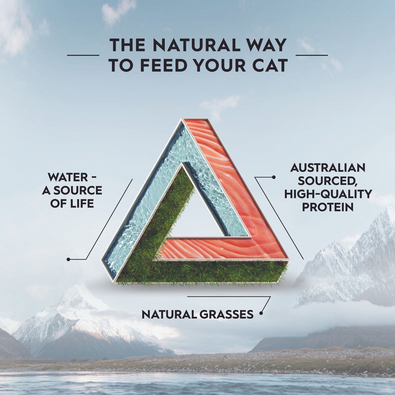 Trilogy Dry Adult Cat Food Australian Salmon + Freeze Dried Lamb