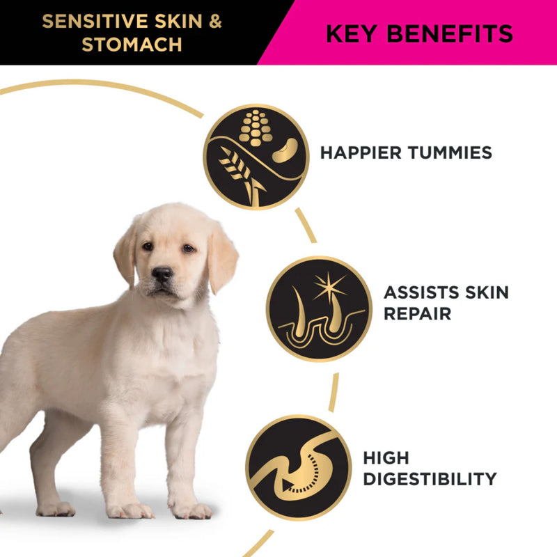 PRO PLAN Puppy Sensitive Skin & Stomach Dry Dog Food