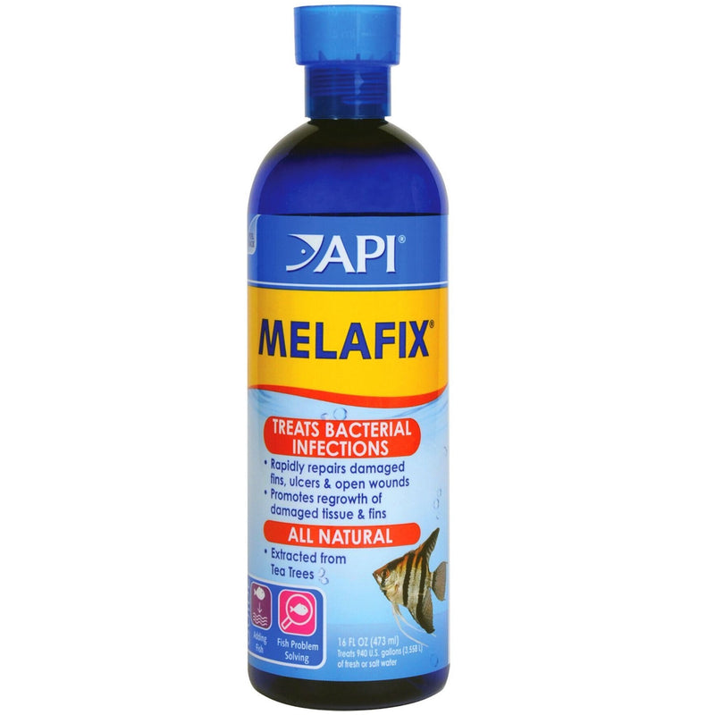 API Melafix Freshwater Fish Infection Remedy