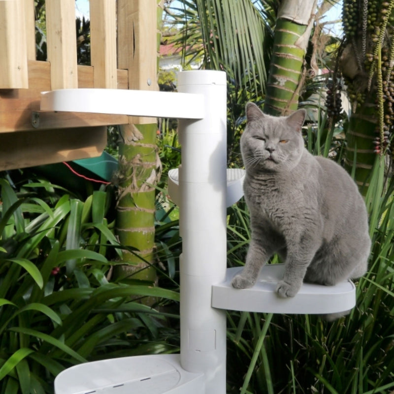 Monkee Tree - The Scalable Cat Climbing Ladder - 2 Branch Pack