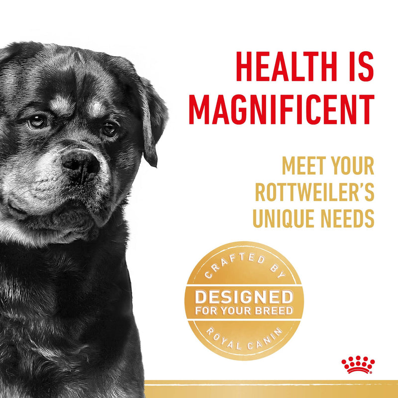 Royal Canin Rottweiler