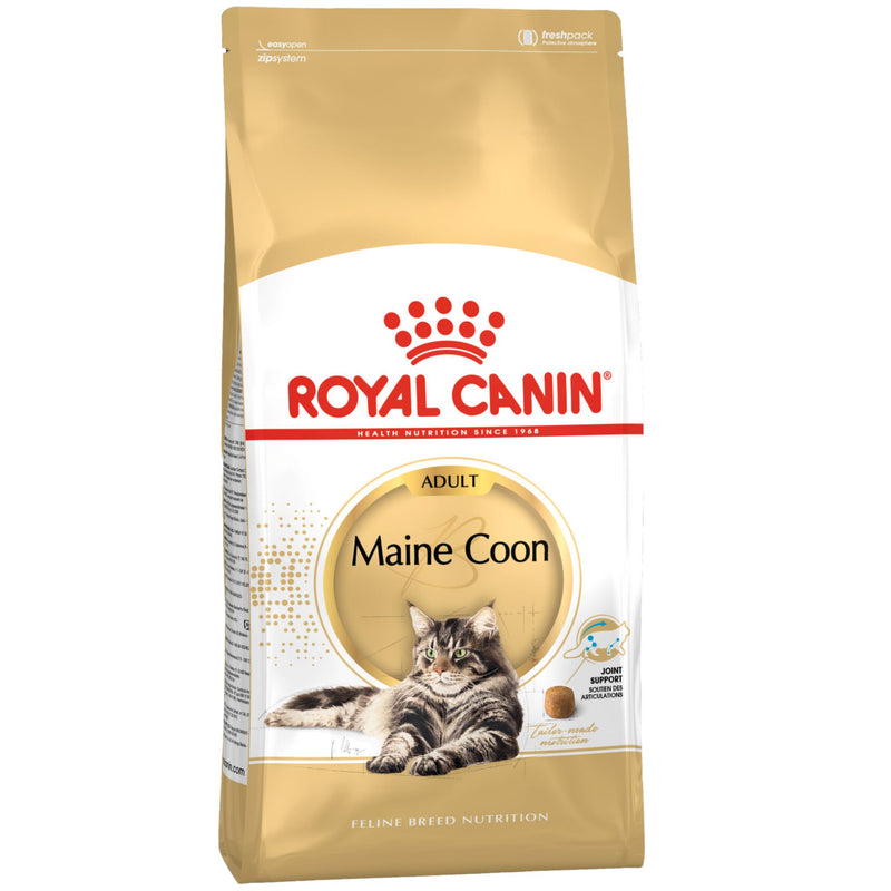 Royal Canin Maine Coon Dry Cat Food