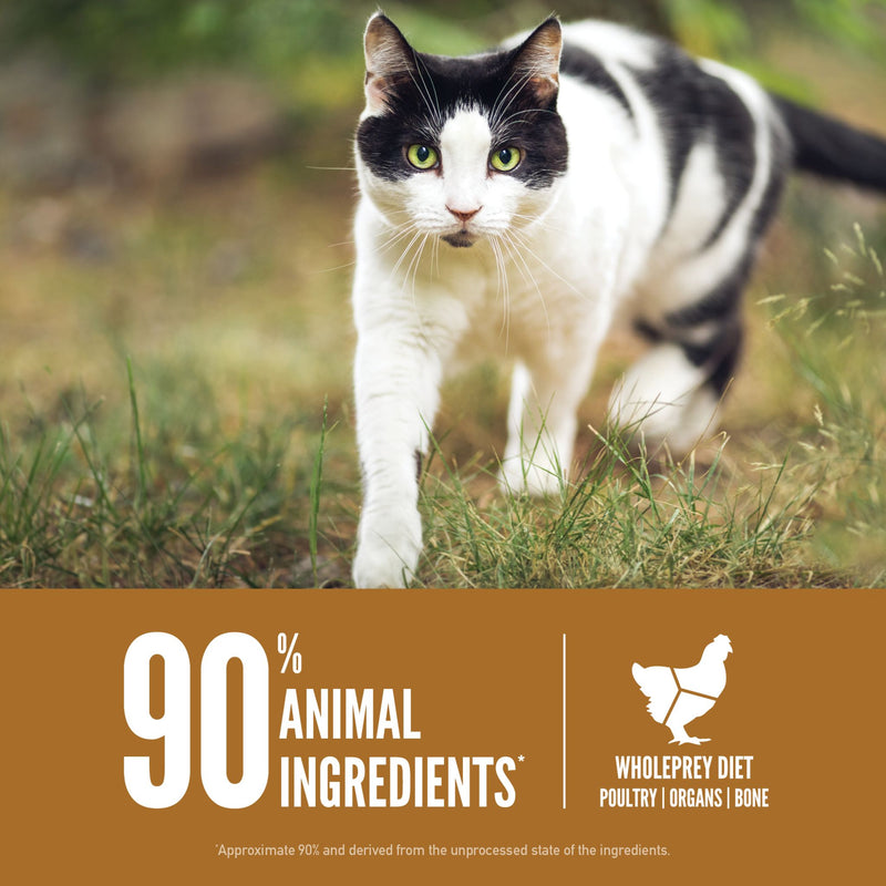 ORIJEN Biologically Appropriate Dry Cat Food Original