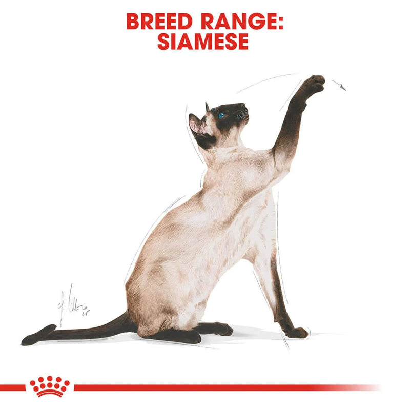 Royal Canin Siamese Dry Cat Food