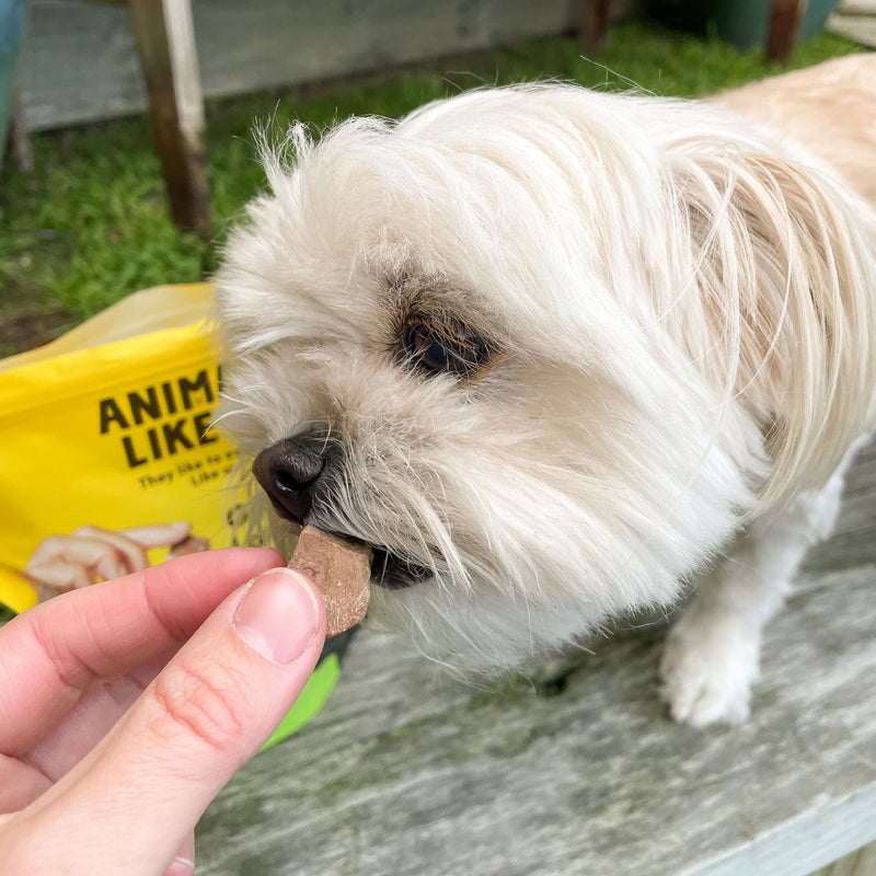 Animals Like Us Freeze Dried Dog Treats Grass-Fed Beef Liver