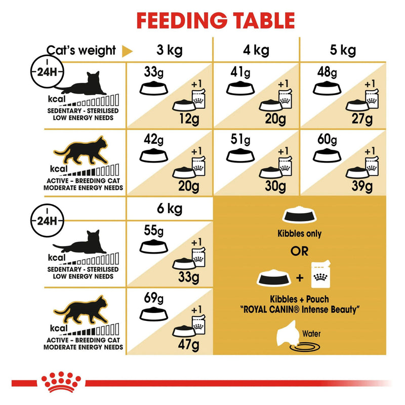 Royal Canin Siamese Dry Cat Food