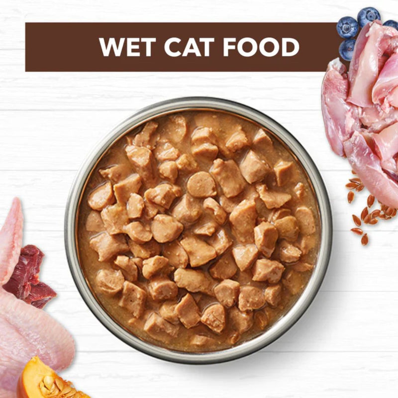 Ivory Coat Grain Free Adult Wet Cat Food Chicken & Kangaroo in Gravy